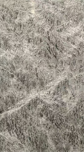 雪山银狐2.png