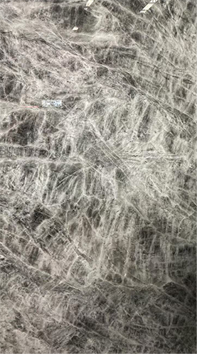 雪山银狐3.png